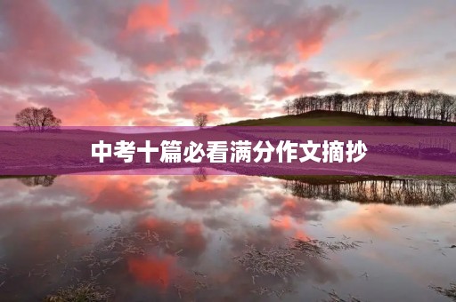 中考十篇必看满分作文摘抄
