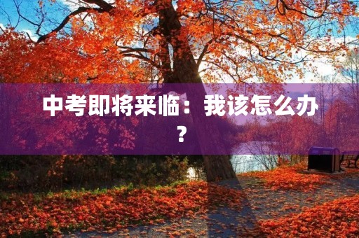 中考即将来临：我该怎么办？