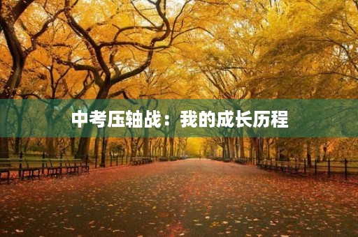 中考压轴战:我的成长历程 中考压轴战:我的成长历程