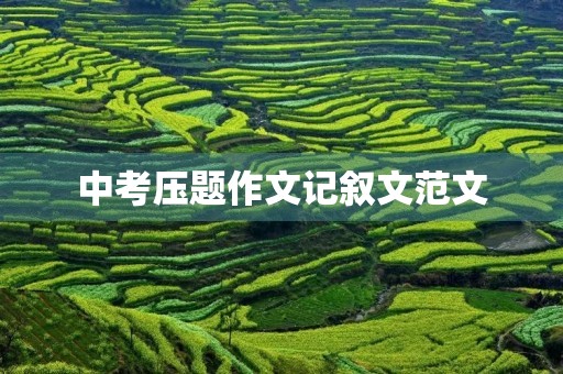 中考压题作文记叙文范文