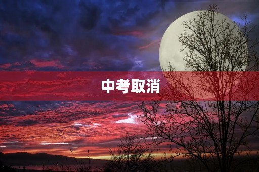 中考取消,初三生该如何应对? 中考取消,初三生该如何应对?