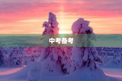 中考备考,我该如何做? 中考备考,我该如何做?