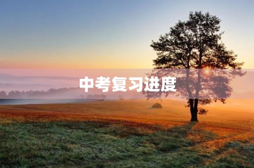 中考复习进度 中考复习进度