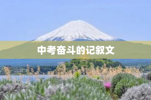 中考奋斗的记叙文