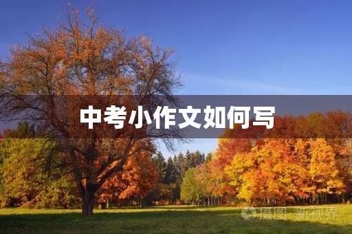 中考小作文如何写 中考小作文如何写