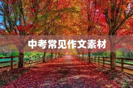 中考常见作文素材