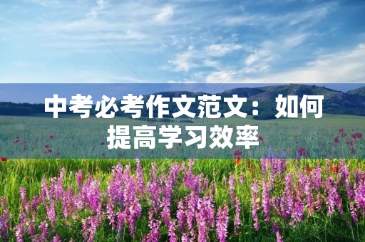中考必考作文范文：如何提高学习效率