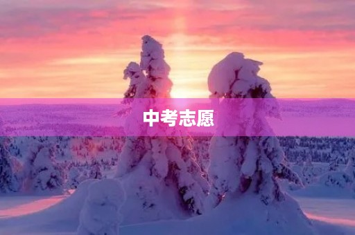 中考志愿,我的选择 中考志愿,我的选择