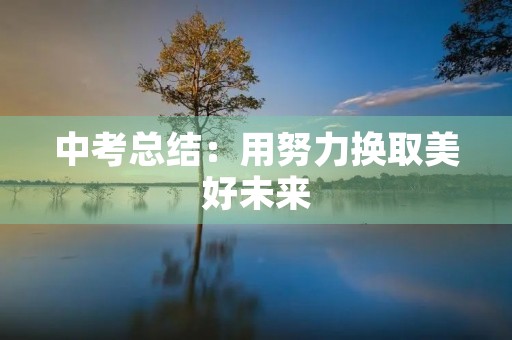 中考总结:用努力换取美好未来