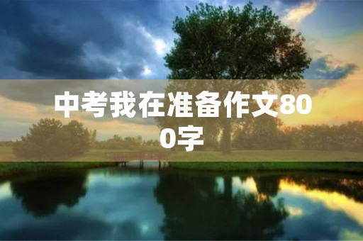 中考我在准备作文800字
