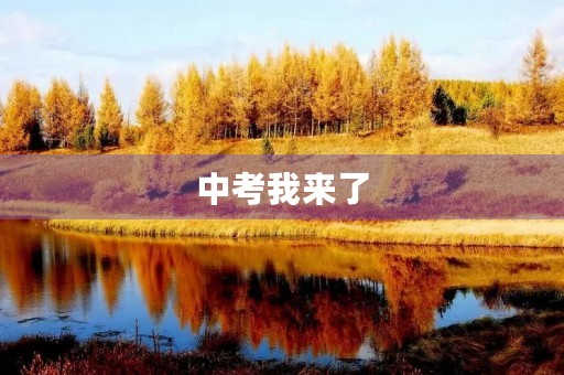 中考我来了,我的备考之路 中考我来了,我的备考之路