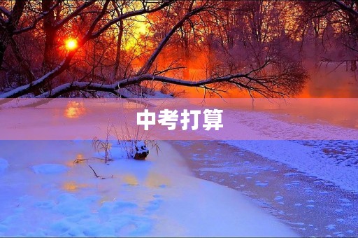 中考打算 中考打算