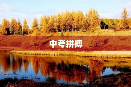 中考拼搏，勇攀高峰