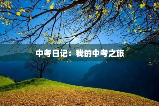中考日记：我的中考之旅
