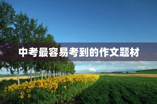中考最容易考到的作文题材 中考最容易考到的作文题材