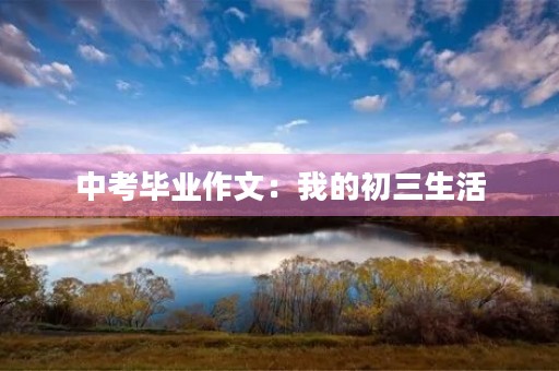 中考毕业作文：我的初三生活