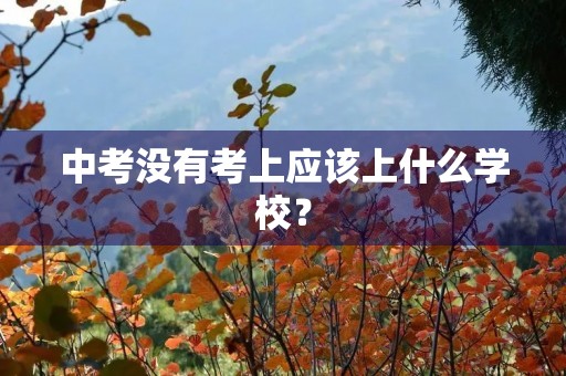 中考没有考上应该上什么学校？