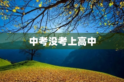 中考没考上高中,未来路在何方? 中考没考上高中,未来路在何方?