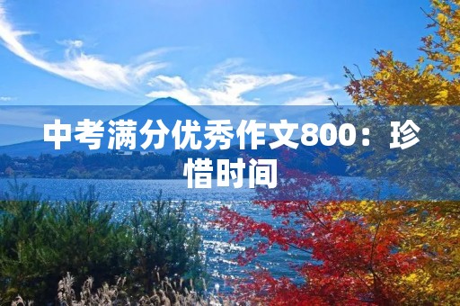 中考满分优秀作文800:珍惜时间,追求卓越 中考满分优秀作文800:珍惜时间,追求卓越