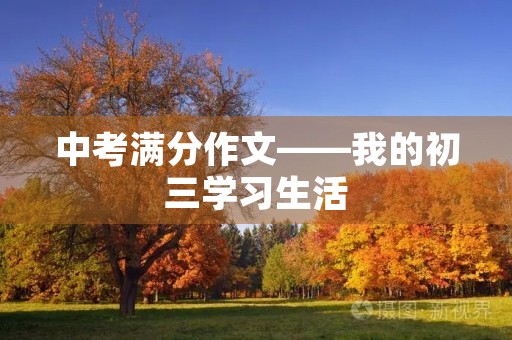 中考满分作文——我的初三学习生活