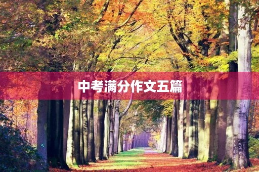 中考满分作文五篇