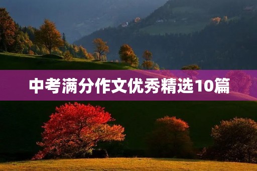 中考满分作文优秀精选10篇