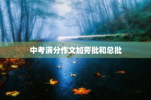 中考满分作文加旁批和总批 中考满分作文加旁批和总批