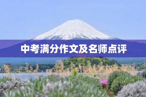 中考满分作文及名师点评