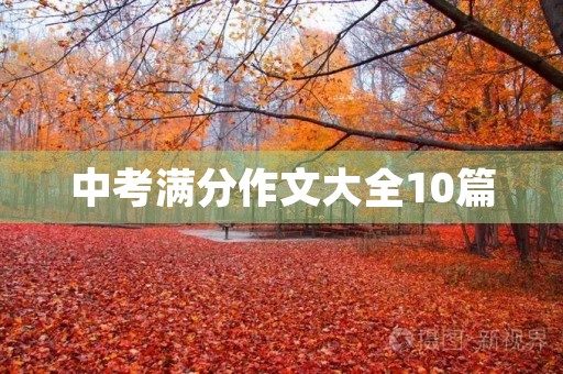 中考满分作文大全10篇