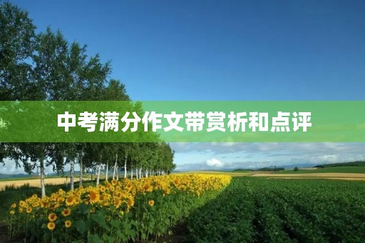 中考满分作文带赏析和点评