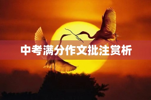 中考满分作文批注赏析