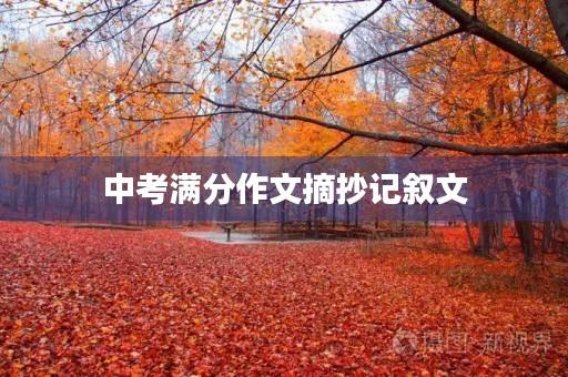 中考满分作文摘抄记叙文 中考满分作文摘抄记叙文