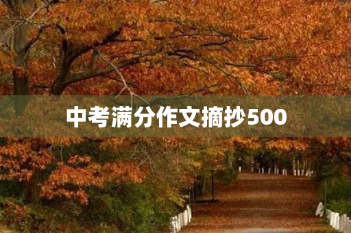 中考满分作文摘抄500 中考满分作文摘抄500