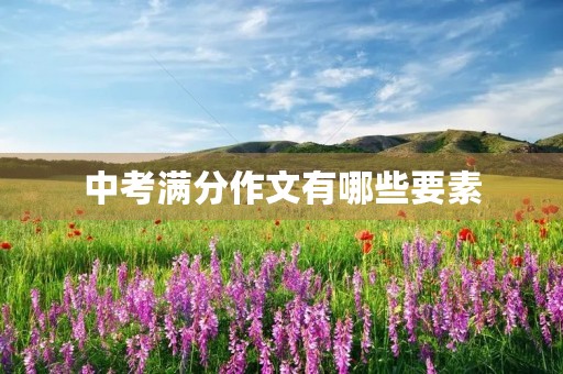 中考满分作文有哪些要素 中考满分作文有哪些要素