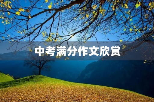 中考满分作文欣赏