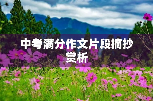中考满分作文片段摘抄赏析
