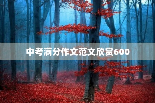 中考满分作文范文欣赏600 中考满分作文范文欣赏600