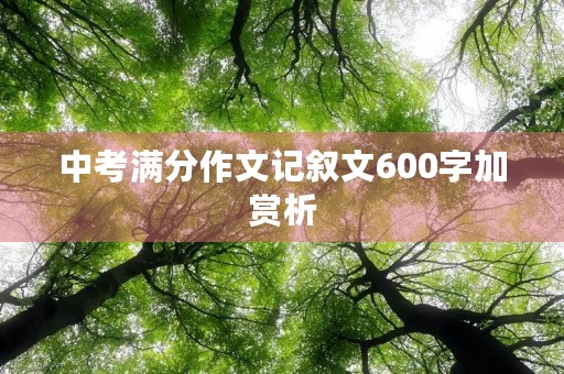 中考满分作文记叙文600字加赏析