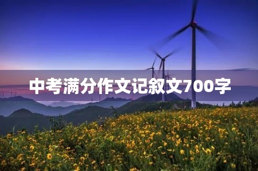中考满分作文记叙文700字