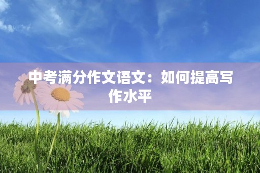 中考满分作文语文:如何提高写作水平 中考满分作文语文:如何提高写作水平
