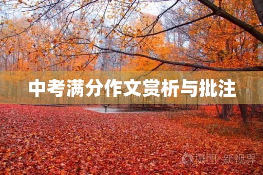 中考满分作文赏析与批注 中考满分作文赏析与批注