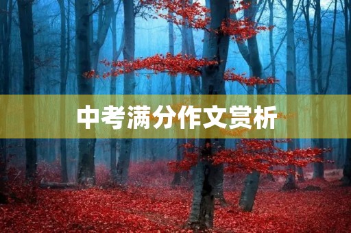 中考满分作文赏析 中考满分作文赏析