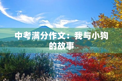 中考满分作文:我与小狗的故事 中考满分作文:我与小狗的故事