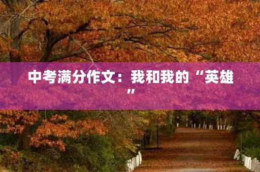 中考满分作文:我和我的“英雄” 中考满分作文:我和我的“英雄”