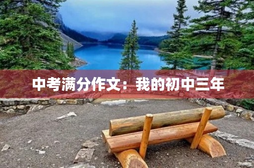 中考满分作文：我的初中三年