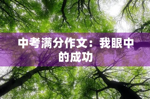 中考满分作文:我眼中的成功 中考满分作文:我眼中的成功