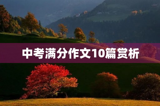 中考满分作文10篇赏析