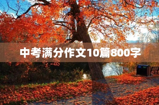 中考满分作文10篇800字 中考满分作文10篇800字