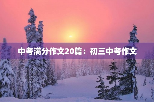中考满分作文20篇：初三中考作文
