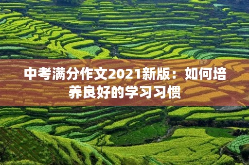 中考满分作文2021新版：如何培养良好的学习习惯
